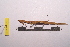  ( - LopeORT14-589)  @12 [ ] CreativeCommons - Attribution Non-Commercial Share-Alike (2014) Nicolas Moulin Nicolas Moulin entomologie