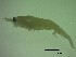  ( - DE3PG)  @11 [ ] Attribution by P. Govender (2021) J.Groeneveld Oceanographic Research Institute