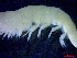  ( - E3-O34)  @11 [ ] Unspecified (default): All Rights Reserved (2021) J.Groeneveld Oceanographic Research Institute