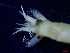  ( - E3-O34)  @11 [ ] Unspecified (default): All Rights Reserved (2021) J.Groeneveld Oceanographic Research Institute