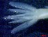  ( - E3-O34)  @11 [ ] Unspecified (default): All Rights Reserved (2021) J.Groeneveld Oceanographic Research Institute