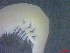  ( - E3-O9)  @11 [ ] Unspecified (default): All Rights Reserved (2021) J.Groeneveld Oceanographic Research Institute