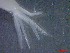  ( - E3-O9)  @11 [ ] Unspecified (default): All Rights Reserved (2021) J.Groeneveld Oceanographic Research Institute