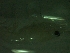  ( - HE3PG)  @11 [ ] Attribution by P. Govender (2021) J.Groeneveld Oceanographic Research Institute