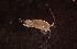  ( - TD2AG1)  @11 [ ] Attribution by Joshua Adrian (2018) Riaan Cedras/Joshua Adrian University of the Western Cape