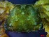  ( - CRDN130)  @11 [ ] Attribution by P. Govender (2021) J.Groeneveld Oceanographic Research Institute