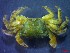  ( - CRDN130)  @11 [ ] Attribution by P. Govender (2021) J.Groeneveld Oceanographic Research Institute