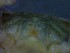 ( - CRDN130)  @11 [ ] Attribution by P. Govender (2021) J.Groeneveld Oceanographic Research Institute