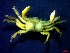  ( - CRDN130)  @11 [ ] Attribution by P. Govender (2021) J.Groeneveld Oceanographic Research Institute