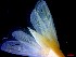  ( - CRDN146)  @11 [ ] Attribution by P. Govender (2021) J.Groeneveld Oceanographic Research Institute