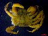  ( - CRDN153)  @11 [ ] Attribution by P. Govender (2021) J.Groeneveld Oceanographic Research Institute