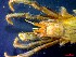  ( - CRDN163)  @11 [ ] Attribution by P. Govender (2021) J.Groeneveld Oceanographic Research Institute