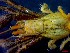  ( - CRDN164)  @11 [ ] Attribution by P. Govender (2021) J.Groeneveld Oceanographic Research Institute