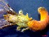  ( - CRDN164)  @11 [ ] Attribution by P. Govender (2021) J.Groeneveld Oceanographic Research Institute