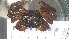  ( - CRDN27)  @11 [ ] Attribution by P. Govender (2021) J.Groeneveld Oceanographic Research Institute