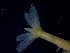  ( - CRDN35)  @11 [ ] Attribution by P. Govender (2021) J.Groeneveld Oceanographic Research Institute