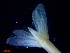  ( - CRDN36)  @11 [ ] Attribution by P. Govender (2021) J.Groeneveld Oceanographic Research Institute