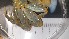  ( - CRDN38)  @11 [ ] Attribution by P. Govender (2021) J.Groeneveld Oceanographic Research Institute