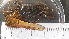  ( - CRDN45)  @11 [ ] Attribution by P. Govender (2021) J.Groeneveld Oceanographic Research Institute