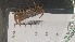  ( - CRDN48)  @11 [ ] Attribution by P. Govender (2021) J.Groeneveld Oceanographic Research Institute