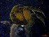  ( - CRDN48)  @11 [ ] Attribution by P. Govender (2021) J.Groeneveld Oceanographic Research Institute