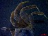  ( - CRDN49)  @11 [ ] Attribution by P. Govender (2021) J.Groeneveld Oceanographic Research Institute