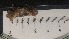  ( - CRDN50)  @11 [ ] Attribution by P. Govender (2021) J.Groeneveld Oceanographic Research Institute