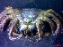  ( - CRDN52)  @11 [ ] Attribution by P. Govender (2021) J.Groeneveld Oceanographic Research Institute