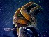  ( - CRDN52)  @11 [ ] Attribution by P. Govender (2021) J.Groeneveld Oceanographic Research Institute