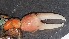  ( - CRDN59)  @11 [ ] Attribution by P. Govender (2021) J.Groeneveld Oceanographic Research Institute