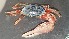  ( - CRDN60)  @11 [ ] Attribution by P. Govender (2021) J.Groeneveld Oceanographic Research Institute