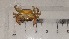  ( - CRDN95)  @11 [ ] Attribution by P. Govender (2021) J.Groeneveld Oceanographic Research Institute
