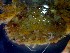  ( - CRDN96)  @11 [ ] Attribution by P. Govender (2021) J.Groeneveld Oceanographic Research Institute