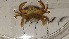  ( - CRDN96)  @11 [ ] Attribution by P. Govender (2021) J.Groeneveld Oceanographic Research Institute