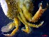  ( - CRDN96)  @11 [ ] Attribution by P. Govender (2021) J.Groeneveld Oceanographic Research Institute