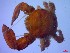  ( - SM-AG-11)  @11 [ ] Attribution by P. Govender (2021) J.Groeneveld Oceanographic Research Institute