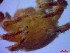  ( - SM-AG-11)  @11 [ ] Attribution by P. Govender (2021) J.Groeneveld Oceanographic Research Institute