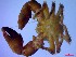  ( - SM-AG-12)  @11 [ ] Attribution by P. Govender (2021) J.Groeneveld Oceanographic Research Institute