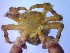  ( - SM-AG-12)  @11 [ ] Attribution by P. Govender (2021) J.Groeneveld Oceanographic Research Institute