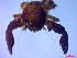  ( - SM-AG-13)  @11 [ ] Attribution by P. Govender (2021) J.Groeneveld Oceanographic Research Institute