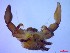  ( - SM-AG-13)  @11 [ ] Attribution by P. Govender (2021) J.Groeneveld Oceanographic Research Institute