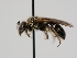  ( - OSAC_0001301693)  @11 [ ] CreativeCommons  Attribution (by) (2024) Pollinator Health Lab Oregon State University