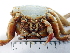  ( - MR1b_4)  @11 [ ] Attribution by J. Groeneveld (2025) J. Groeneveld Oceanographic Research Institute