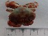  ( - MR23_1)  @11 [ ] Attribution by J. Groeneveld (2025) J. Groeneveld Oceanographic Research Institute