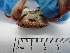  ( - MR23_1)  @11 [ ] Attribution by J. Groeneveld (2025) J. Groeneveld Oceanographic Research Institute