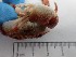  ( - MR23_1)  @11 [ ] Attribution by J. Groeneveld (2025) J. Groeneveld Oceanographic Research Institute