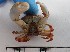  ( - MR23_1)  @11 [ ] Attribution by J. Groeneveld (2025) J. Groeneveld Oceanographic Research Institute