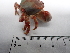  ( - MR23_1)  @11 [ ] Attribution by J. Groeneveld (2025) J. Groeneveld Oceanographic Research Institute
