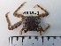  ( - MR29_1)  @11 [ ] Attribution by J. Groeneveld (2025) J. Groeneveld Oceanographic Research Institute