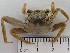  ( - MR29_1)  @11 [ ] Attribution by J. Groeneveld (2025) J. Groeneveld Oceanographic Research Institute